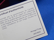 Load image into Gallery viewer, Silver Coin - $20 - 2016 - Diwali: Festival of Lights