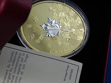Load image into Gallery viewer, Silver Coin - $50 - 2017 - Royal Canadian Mint - Whispering Maple Leaves