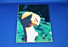 Charger l'image dans la galerie, C - Aircel Publishing Comics - Elflord - #1 - 1986