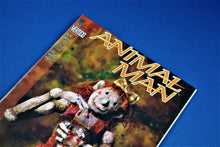 Charger l'image dans la galerie, DC Comics - Animal Man - #67 - January 1994
