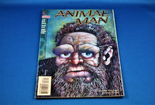 Charger l'image dans la galerie, DC Comics - Animal Man - #66 - December 1993