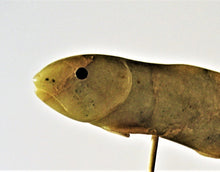Load image into Gallery viewer, Inuit Art - Arctic Char