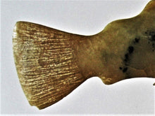 Load image into Gallery viewer, Inuit Art - Arctic Char