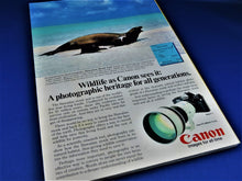 Load image into Gallery viewer, Magazine - National Geographic - Vol. 162, No. 2 - August 1982