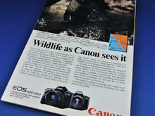Load image into Gallery viewer, Magazine - National Geographic - Vol. 174, No. 4 - October 1988