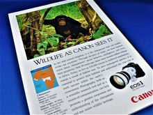 Load image into Gallery viewer, Magazine - National Geographic - Vol. 177, No. 2 - February 1990