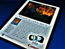 Load image into Gallery viewer, Magazine - National Geographic - Vol. 181, No. 2 - February 1992