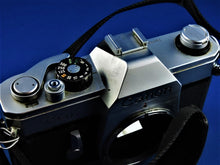 Charger l'image dans la galerie, Cameras - Canon TLb Camera.