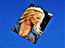 Charger l'image dans la galerie, Topps Trading Card - 1996 - #E12 Barb-Wire