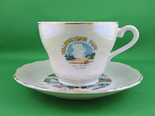 Load image into Gallery viewer, Tea Cup - Lusterware Yellowstone Park Souvenir - Fine Bone China Tea Cup and Matching Saucer