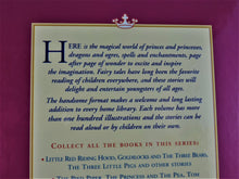 Charger l'image dans la galerie, Children's Book - Great Illustrated Fairy Tales - Includes Sleeping Beauty