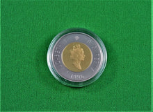 Charger l'image dans la galerie, Currency - Silver Coin - $2 - 1996 - Royal Canadian Mint - Polar Bear
