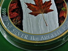Charger l'image dans la galerie, Currency - Silver Coin - $250 - 2016 - RCM - Maple Leaf Forever