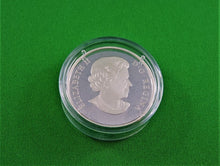 Charger l'image dans la galerie, Currency - Silver Coin - $20 - 2017 - RCM - Under the Sea: Sea Turtle