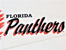 Load image into Gallery viewer, Pennant Flag - Florida Panthers