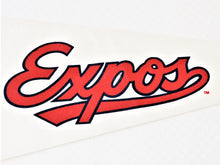 Load image into Gallery viewer, Pennant Flag - Montreal Expos