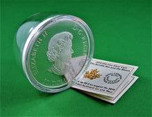 Charger l'image dans la galerie, Currency - Silver Coin - $50 - 2019 - RCM - The Bumble Bee and The Bloom