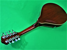 Charger l'image dans la galerie, Musical Instruments - Oscar Schmidt Mandolin by Washburn