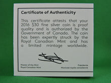 Load image into Gallery viewer, Currency - Silver Coin - $30 - 2016 - RCM - Northern Lights in the Moonlight