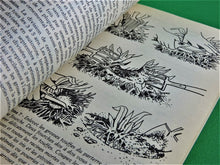 Charger l'image dans la galerie, Book - Gardening - 1984 - The Planting Book by Andrew Pennington