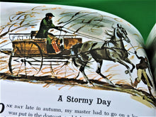 Charger l'image dans la galerie, Book - 1975 - Black Beauty - By Anna Sewell