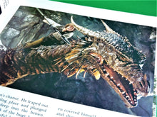 Charger l'image dans la galerie, Book - 1981 - Dragonslayer - The Storybook Based on the Movie - By Hal Barwood and Matthew Robbins