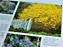 Load image into Gallery viewer, Book - Gardening - 1990 - Better Homes and Gardens - New Garden Book
