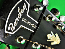 Load image into Gallery viewer, Musical Instruments - Barcley Custom 12 String Hummingbird Acoustic Guitar