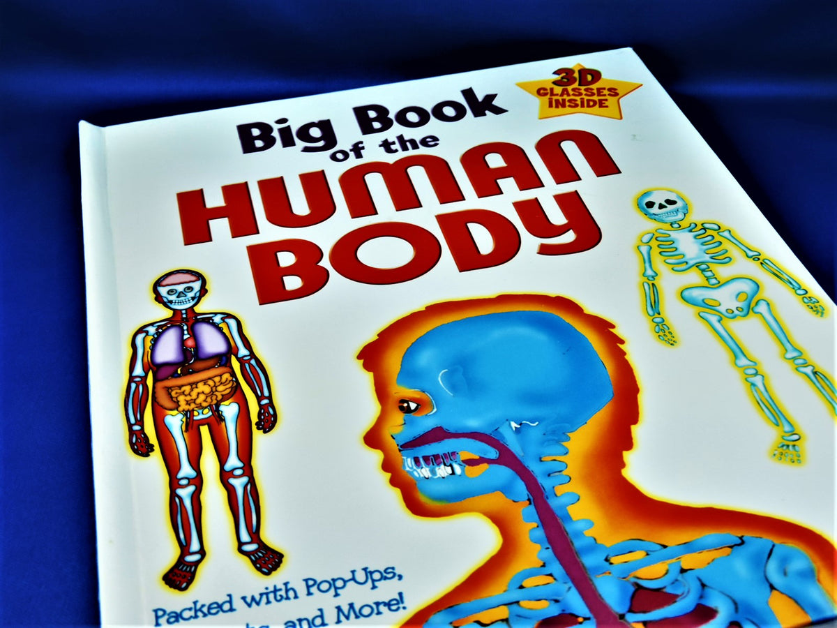 Children's Book - Big Book of the Human Body – Sold Outright