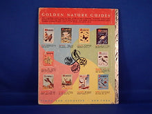 Load image into Gallery viewer, Children's Book - Little Golden Activity Book - 1954 - The Paper Doll Wedding
