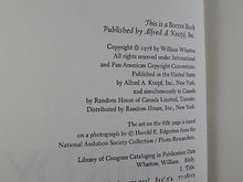 Load image into Gallery viewer, Book - 1979 - Birdy - By William Wharton
