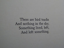 Load image into Gallery viewer, Book - 1979 - Birdy - By William Wharton
