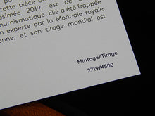 Charger l'image dans la galerie, Silver Coin - $20 - 2019 - Iconic Maple Leaves (G)
