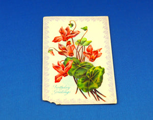 Postcard - Birthday Postcard - Birthday Greetings - Red Iris?