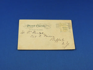 Postcard - Horse Shoe Falls