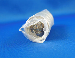Coins and Currency - Uncirculated Roll - Free Style Skiing