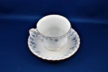 Charger l&#39;image dans la galerie, Tea Cup - Royal Albert - Memory Lane - Fine Bone China Tea Cup and Matching Saucer.
