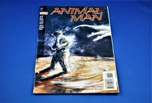 Charger l'image dans la galerie, DC Comics - Animal Man - #70 - April 1994
