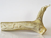 Load image into Gallery viewer, Inuit Art - Ivory Bird Perched on Inscribed Caribou Antler
