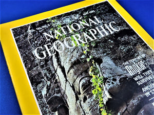 Magazine - National Geographic - Vol. 161, No. 5 - May 1982