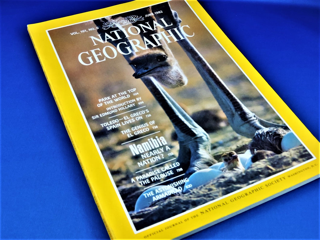 Magazine - National Geographic - Vol. 161, No. 6 - June 1982