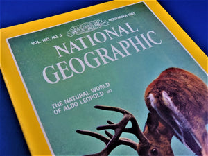 Magazine - National Geographic - Vol. 160, No. 5 - November 1981