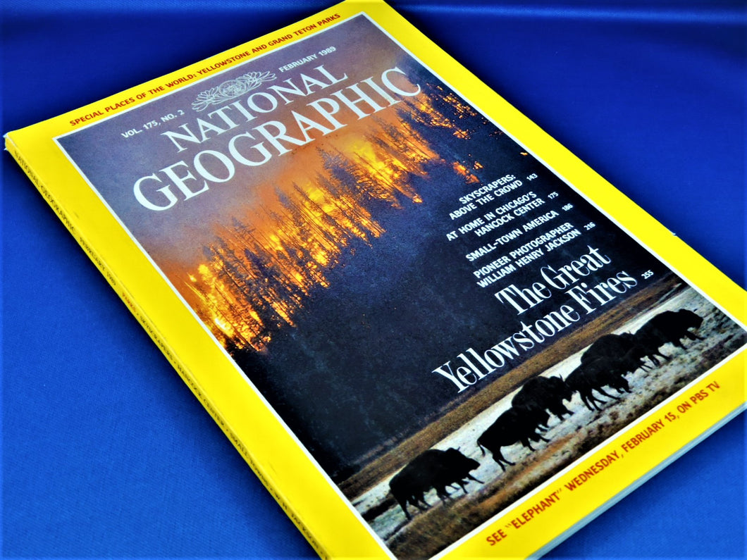 Magazine - National Geographic - Vol. 175, No. 2 - February 1989