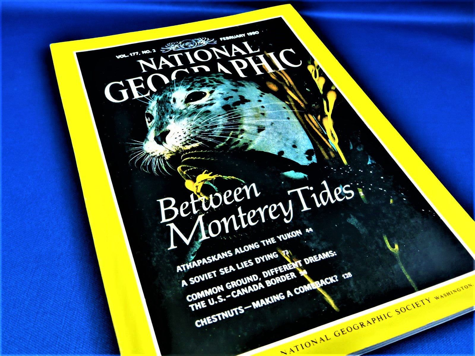 Magazine - National Geographic - Vol. 177, No. 2 - February 1990