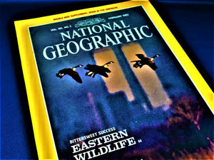 Magazine - National Geographic - Vol. 181, No. 2 - February 1992