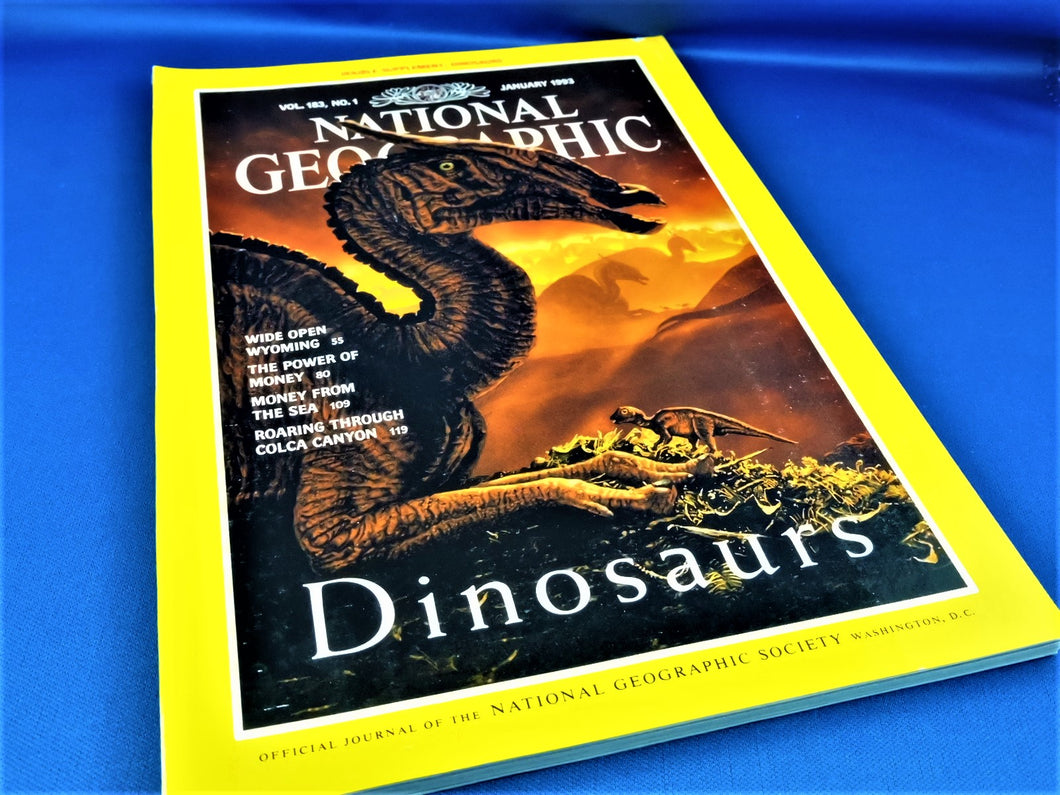 Magazine - National Geographic - Vol. 183, No. 1 - January 1993