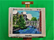 Load image into Gallery viewer, MXB Crafts - Coats &amp; Anchor Tapisserie Wool - &quot;Bridge of Sighs&quot; Cambridge No. B528
