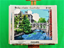 Load image into Gallery viewer, MXB Crafts - Coats &amp; Anchor Tapisserie Wool - &quot;Bridge of Sighs&quot; Cambridge No. B528
