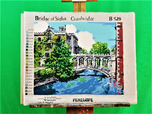 MXB Crafts - Coats & Anchor Tapisserie Wool - "Bridge of Sighs" Cambridge No. B528
