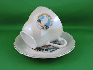 Tea Cup - Lusterware Yellowstone Park Souvenir - Fine Bone China Tea Cup and Matching Saucer